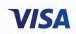 logo visa